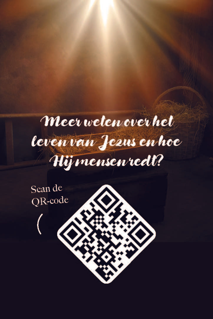 Visitekaartje Kerst | Zó bijzonder! (25x)