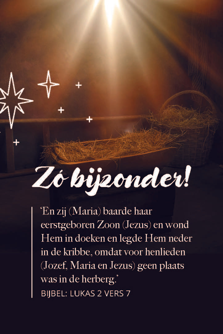 Visitekaartje Kerst | Zó bijzonder! (25x)