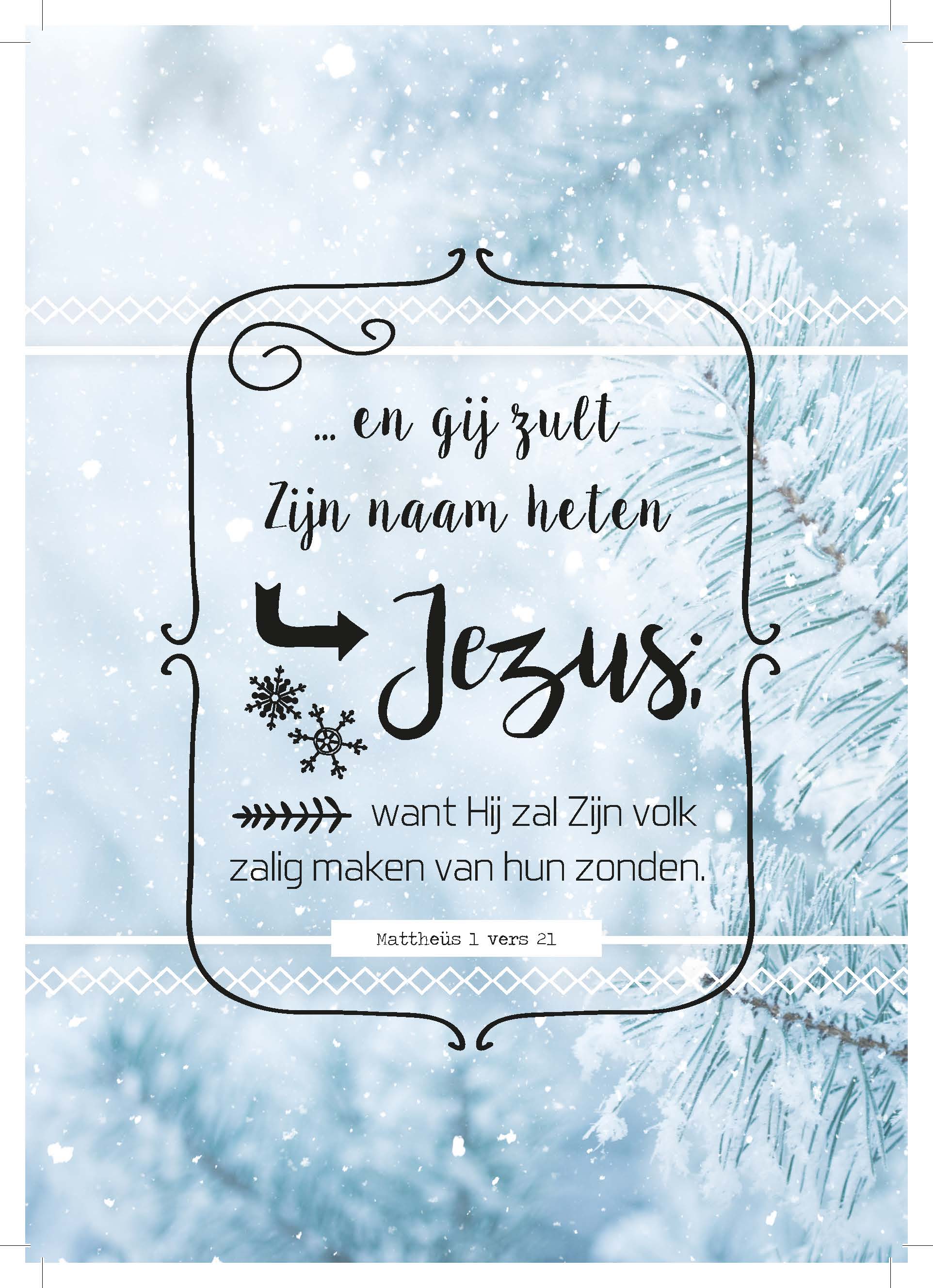 Kerst uitdeelkaart 'En gij zult Zijn Naam heten' (25x)