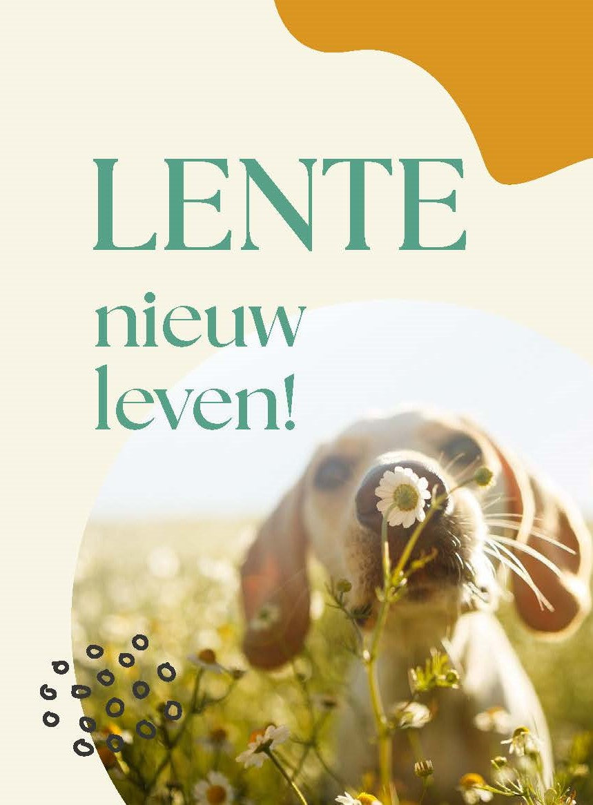 Folder Lente nieuw leven! (25x)