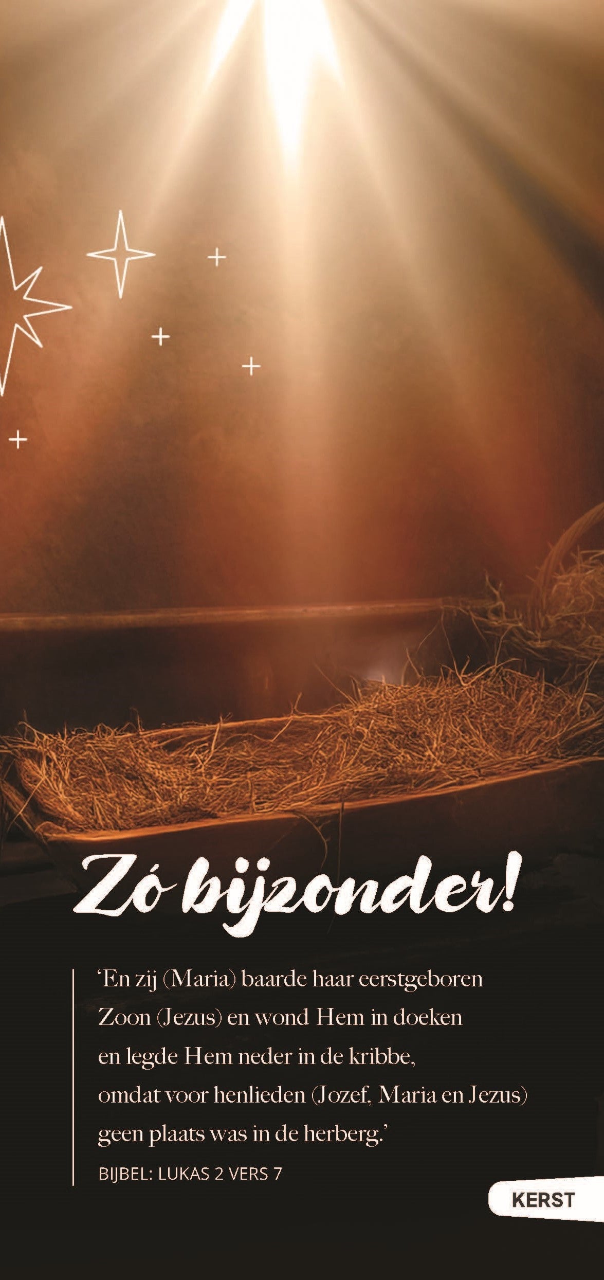 Kerstfolder | Zó bijzonder! (25x)