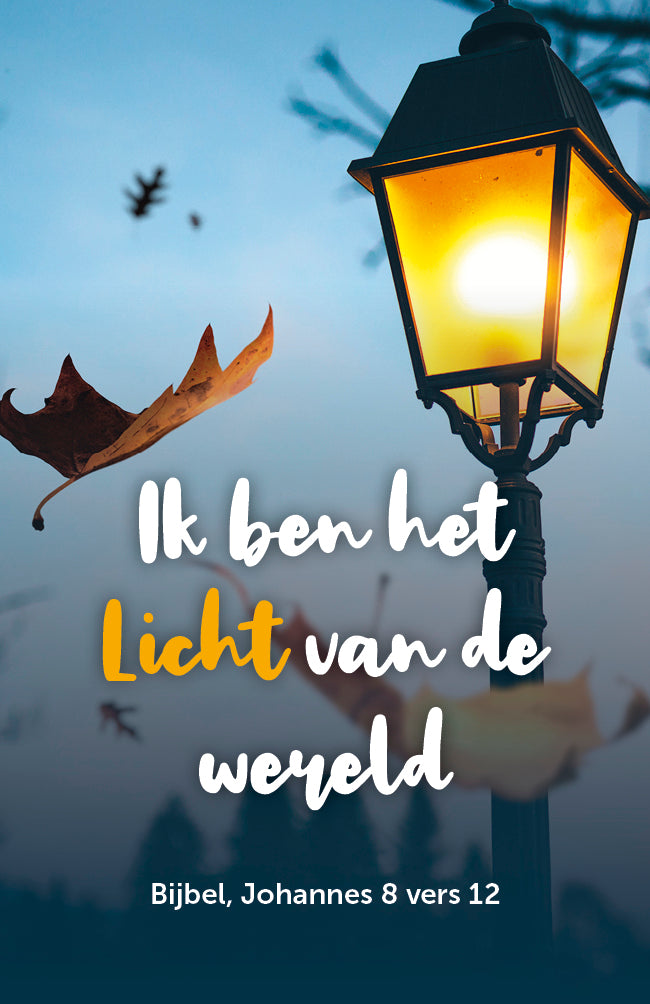 Visitekaartje Halloween Lantaarn (25x)