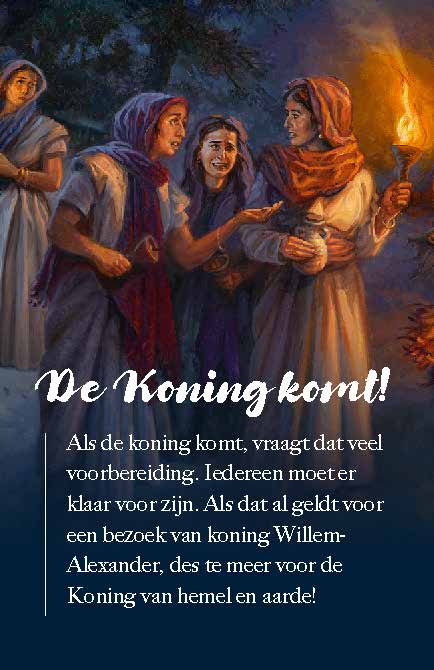 Visitekaartje De Koning komt! (25x)