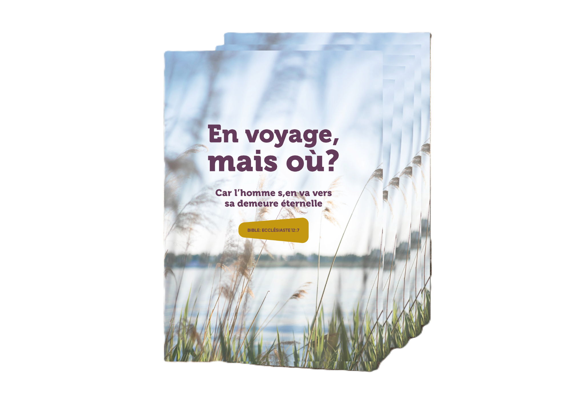 Folder Op reis - Frans (25x)